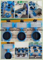 pneumatic rotary actuator  control for butterfly  valves